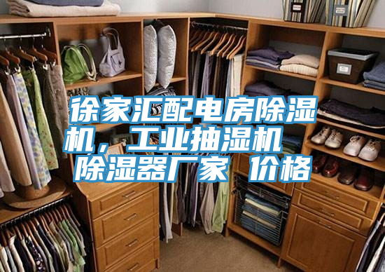 徐家匯配電房除濕機(jī)，工業(yè)抽濕機(jī)  除濕器廠家 價(jià)格