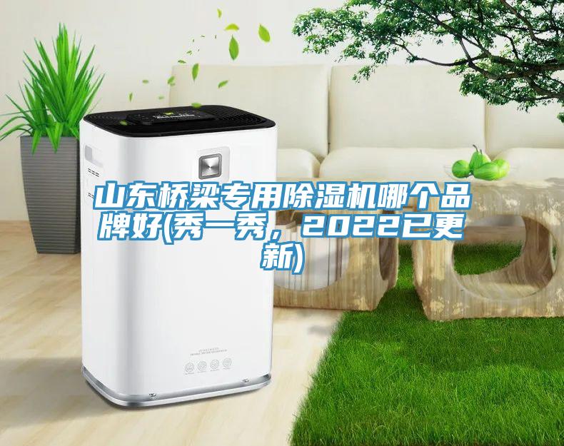 山東橋梁專用除濕機(jī)哪個(gè)品牌好(秀一秀，2022已更新)