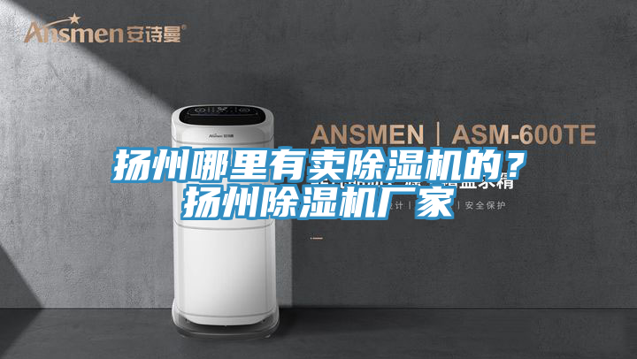 揚(yáng)州哪里有賣除濕機(jī)的？揚(yáng)州除濕機(jī)廠家