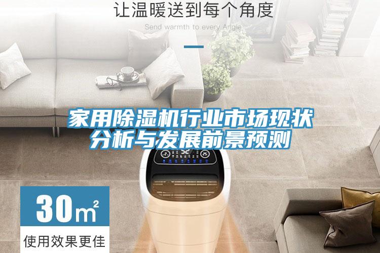 家用除濕機(jī)行業(yè)市場現(xiàn)狀分析與發(fā)展前景預(yù)測