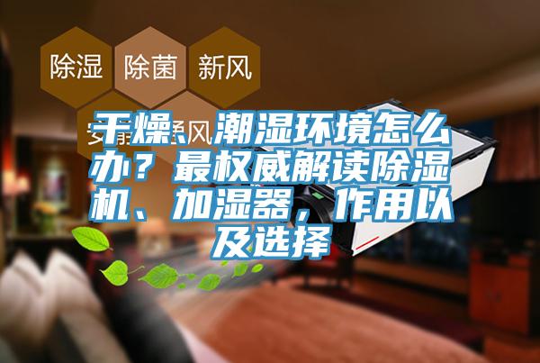 干燥、潮濕環(huán)境怎么辦？最權威解讀除濕機、加濕器，作用以及選擇