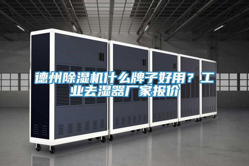 德州除濕機什么牌子好用？工業(yè)去濕器廠家報價