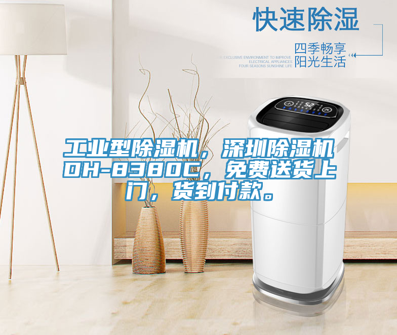工業(yè)型除濕機(jī)，深圳除濕機(jī)DH-8380C，免費(fèi)送貨上門，貨到付款。