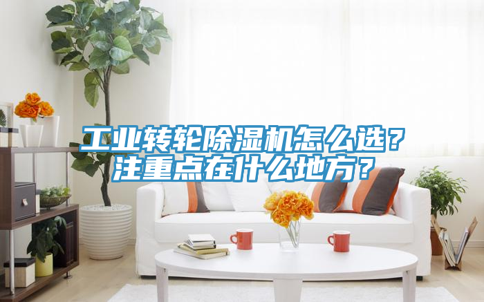工業(yè)轉(zhuǎn)輪除濕機(jī)怎么選？注重點在什么地方？