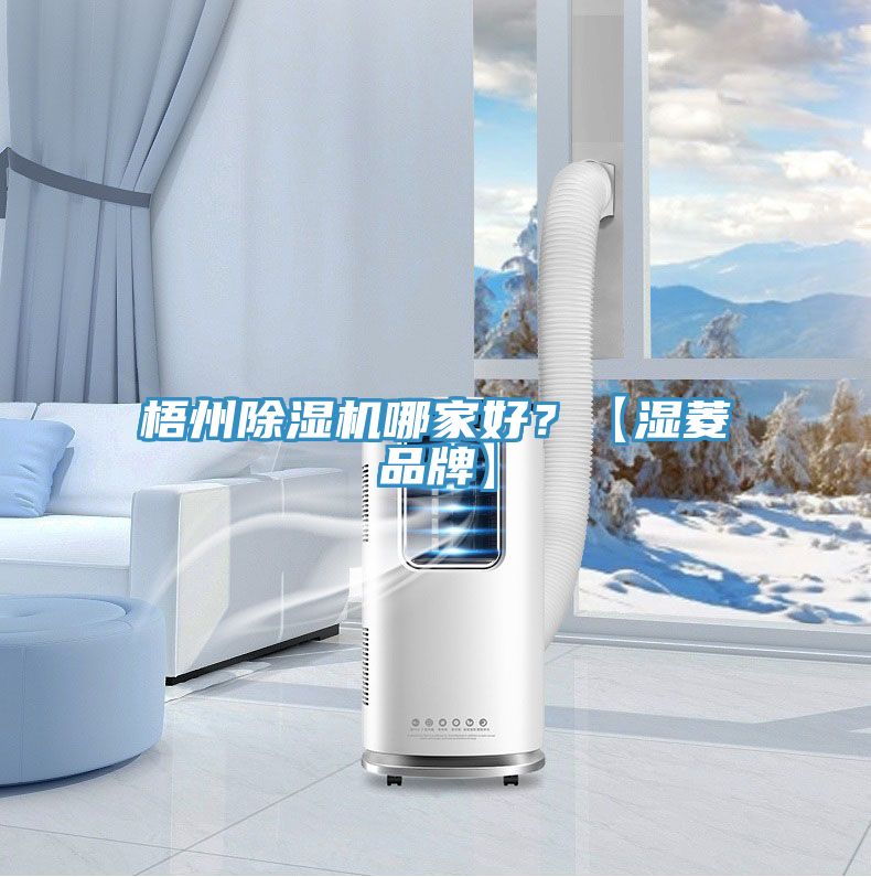 梧州除濕機(jī)哪家好？【濕菱品牌】