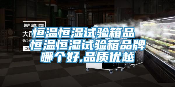 恒溫恒濕試驗(yàn)箱品 恒溫恒濕試驗(yàn)箱品牌哪個好,品質(zhì)優(yōu)越
