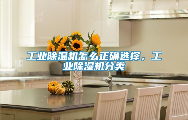 工業(yè)除濕機怎么正確選擇，工業(yè)除濕機分類
