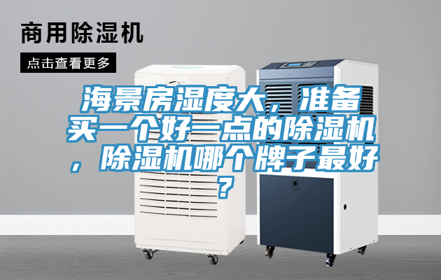 海景房濕度大，準(zhǔn)備買一個(gè)好一點(diǎn)的除濕機(jī)，除濕機(jī)哪個(gè)牌子最好？