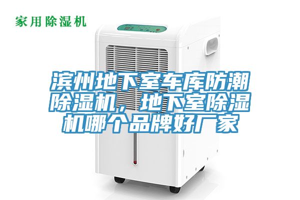 濱州地下室車(chē)庫(kù)防潮除濕機(jī)，地下室除濕機(jī)哪個(gè)品牌好廠家