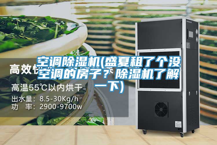 空調(diào)除濕機(jī)(盛夏租了個沒空調(diào)的房子？除濕機(jī)了解一下)