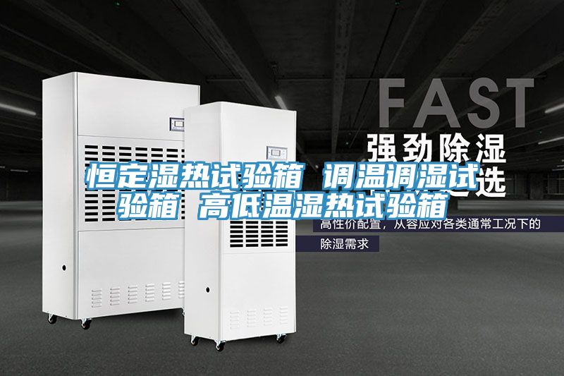 恒定濕熱試驗(yàn)箱 調(diào)溫調(diào)濕試驗(yàn)箱 高低溫濕熱試驗(yàn)箱