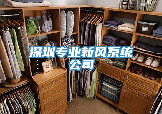深圳專業(yè)新風系統(tǒng)公司