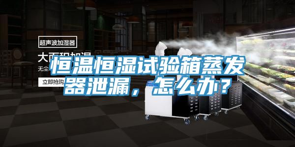 恒溫恒濕試驗箱蒸發(fā)器泄漏，怎么辦？