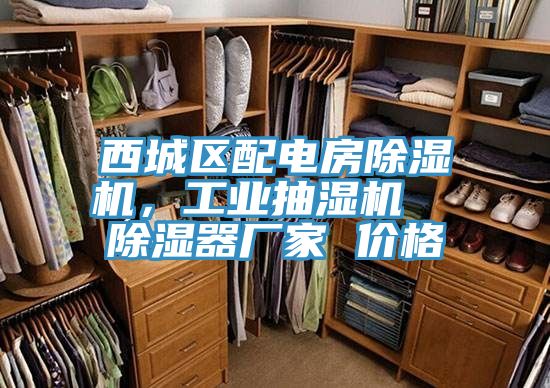 西城區(qū)配電房除濕機(jī)，工業(yè)抽濕機(jī)  除濕器廠(chǎng)家 價(jià)格