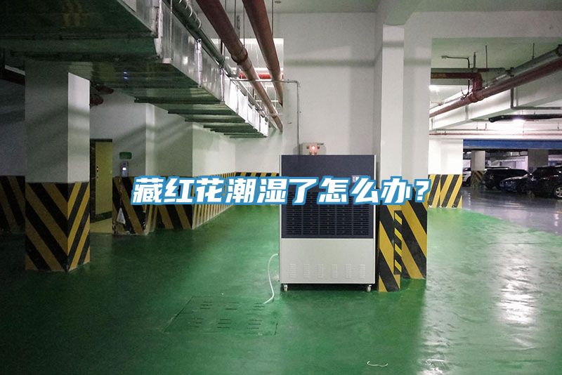 藏紅花潮濕了怎么辦？