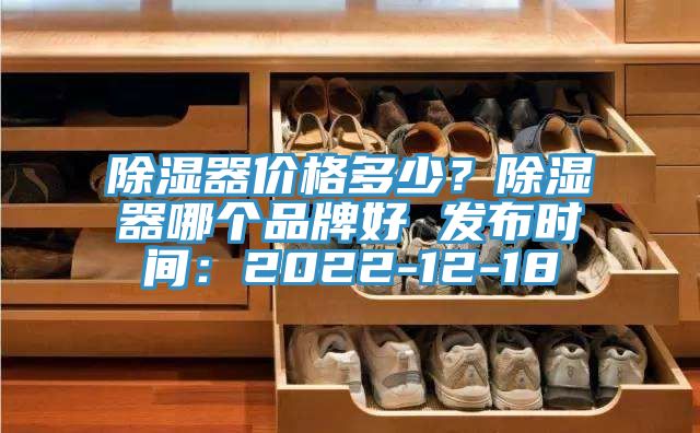 除濕器價格多少？除濕器哪個品牌好 發(fā)布時間：2022-12-18