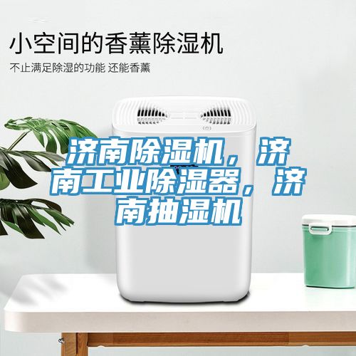 濟南除濕機，濟南工業(yè)除濕器，濟南抽濕機