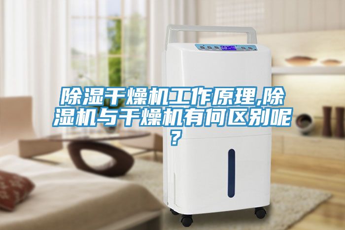 除濕干燥機工作原理,除濕機與干燥機有何區(qū)別呢？