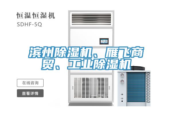 濱州除濕機、雁飛商貿(mào)、工業(yè)除濕機