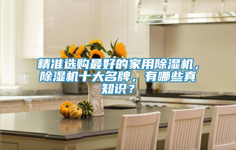 精準選購最好的家用除濕機，除濕機十大名牌，有哪些真知識？