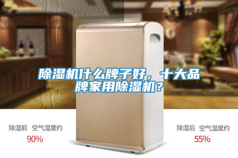 除濕機(jī)什么牌子好，十大品牌家用除濕機(jī)？