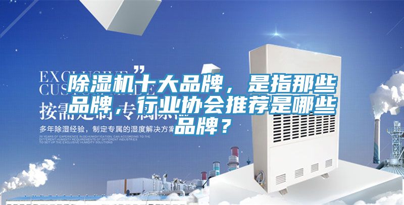 除濕機(jī)十大品牌，是指那些品牌，行業(yè)協(xié)會(huì)推薦是哪些品牌？
