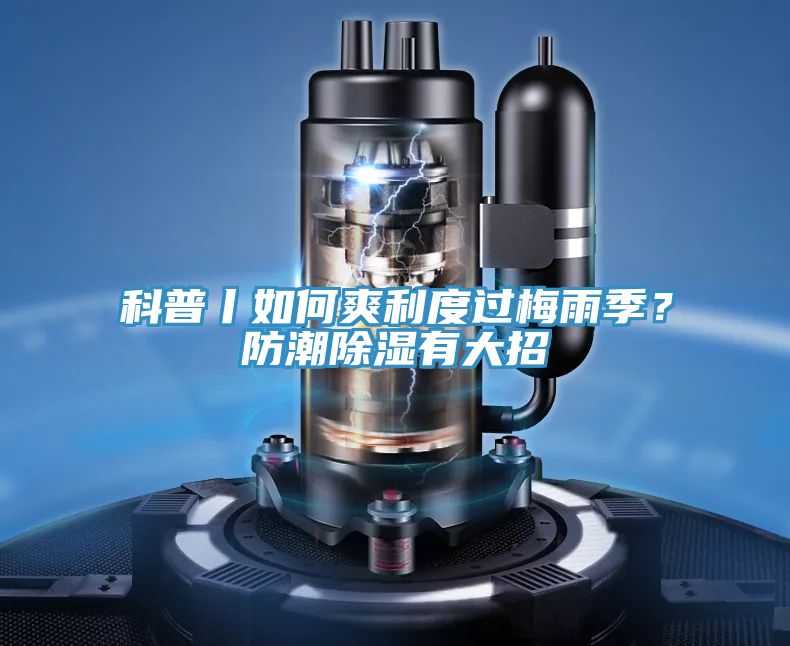 科普丨如何爽利度過梅雨季？防潮除濕有大招