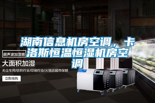 湖南信息機(jī)房空調(diào)，卡洛斯恒溫恒濕機(jī)房空調(diào)