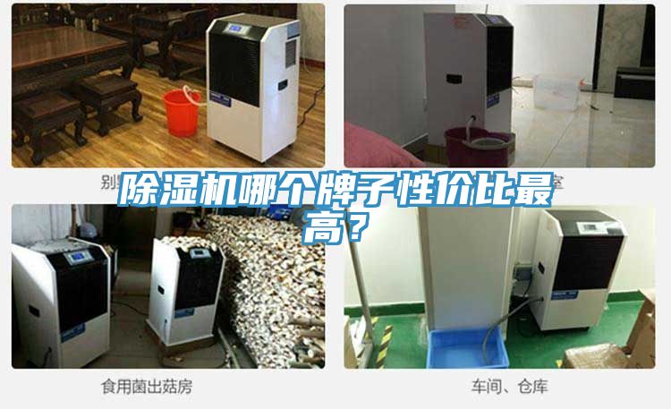除濕機(jī)哪個(gè)牌子性價(jià)比最高？