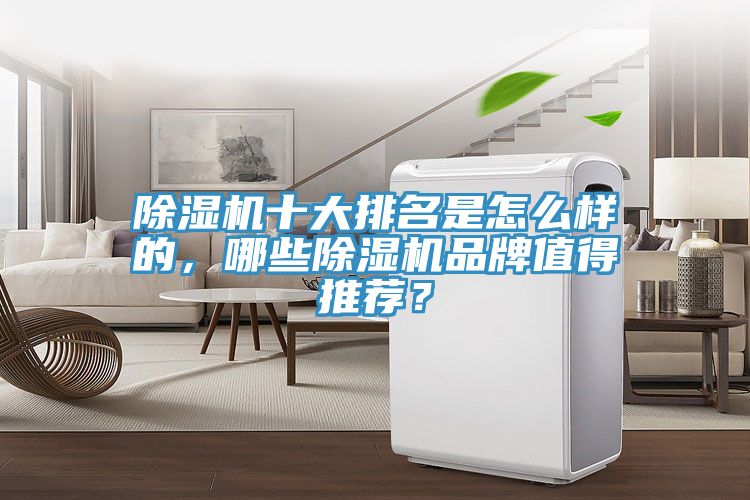 除濕機(jī)十大排名是怎么樣的，哪些除濕機(jī)品牌值得推薦？