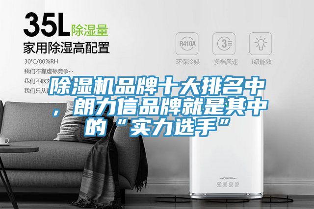 除濕機(jī)品牌十大排名中，朗力信品牌就是其中的“實(shí)力選手”