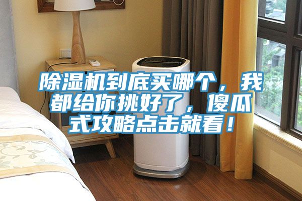 除濕機(jī)到底買(mǎi)哪個(gè)，我都給你挑好了，傻瓜式攻略點(diǎn)擊就看！