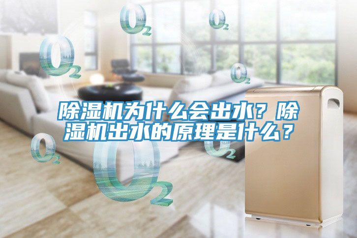 除濕機為什么會出水？除濕機出水的原理是什么？