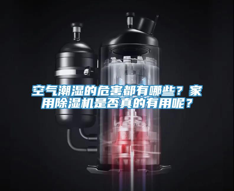 空氣潮濕的危害都有哪些？家用除濕機(jī)是否真的有用呢？