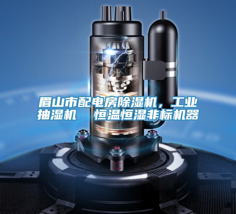眉山市配電房除濕機(jī)，工業(yè)抽濕機(jī)  恒溫恒濕非標(biāo)機(jī)器