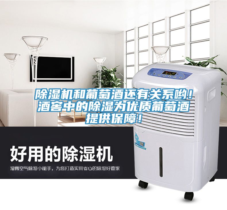 除濕機(jī)和葡萄酒還有關(guān)系喲！酒窖中的除濕為優(yōu)質(zhì)葡萄酒提供保障！