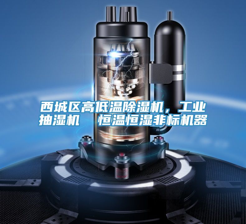 西城區(qū)高低溫除濕機(jī)，工業(yè)抽濕機(jī)  恒溫恒濕非標(biāo)機(jī)器