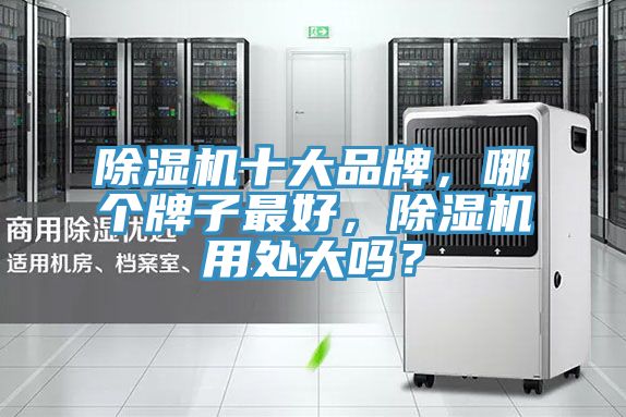 除濕機(jī)十大品牌，哪個(gè)牌子最好，除濕機(jī)用處大嗎？