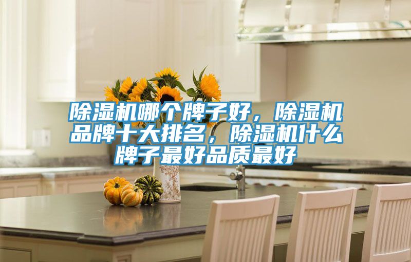 除濕機(jī)哪個(gè)牌子好，除濕機(jī)品牌十大排名，除濕機(jī)什么牌子最好品質(zhì)最好