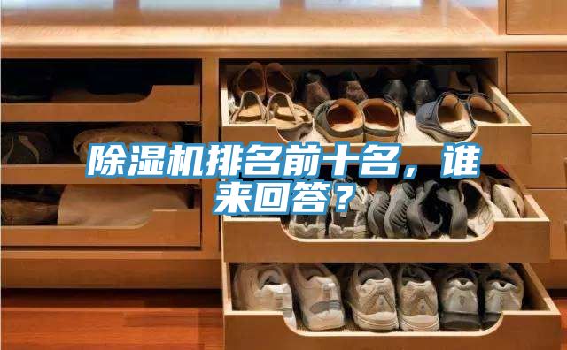 除濕機(jī)排名前十名，誰(shuí)來(lái)回答？