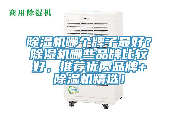 除濕機哪個牌子最好？除濕機哪些品牌比較好，推薦優(yōu)質(zhì)品牌+除濕機精選！