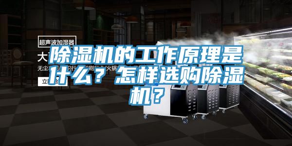 除濕機的工作原理是什么？怎樣選購除濕機？