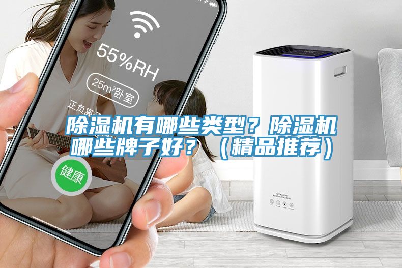 除濕機有哪些類型？除濕機哪些牌子好？（精品推薦）