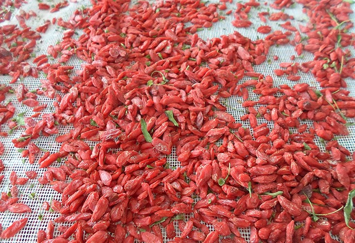 20190604110720_7157[1]